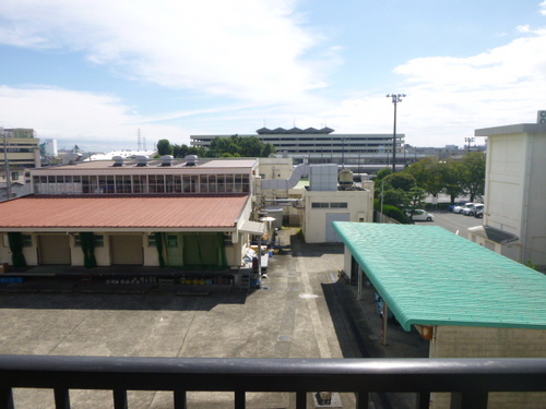 View. View from the balcony