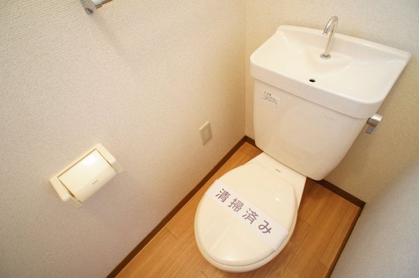 Toilet. Toilet