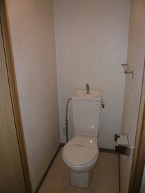 Toilet. Toilet