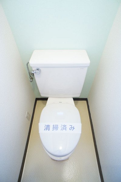 Toilet. Toilet