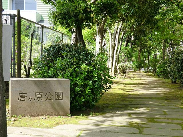Other. park