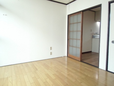 Living and room. Sunny Western-style rooms. 