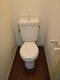 Toilet. Toilet