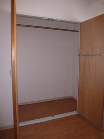 Living and room. North Western-style closet