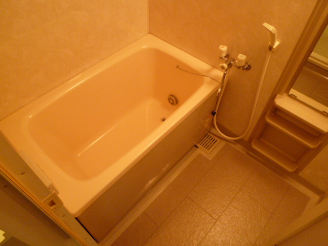 Bath. It comes with a bathroom dryer. 