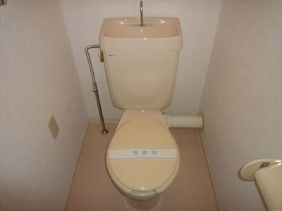 Toilet. Toilet