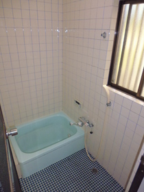 Bath. Bathroom