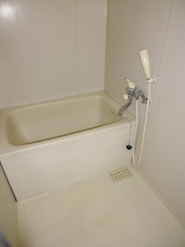 Bath. Bathroom
