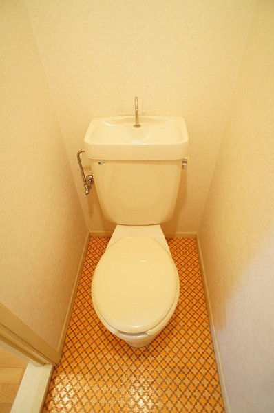 Toilet. Toilet