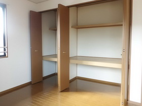 Living and room. Convenient closet with depth