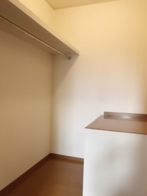 Other. Popular walk-in closet!