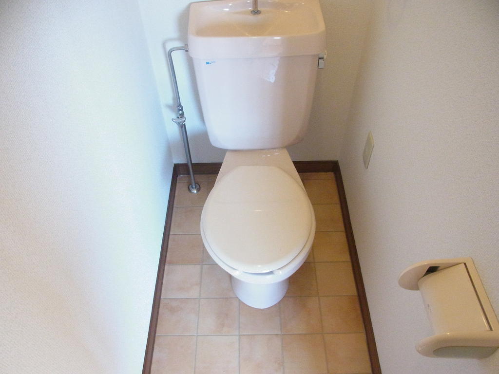 Toilet. Yes toilet storage! 