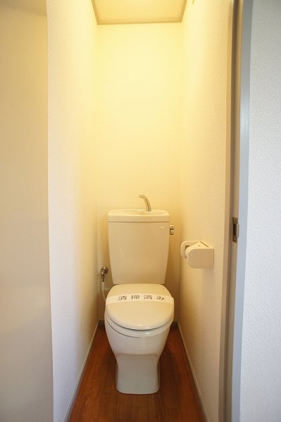 Toilet. Toilet