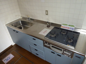 Kitchen. Useful system Kitchen (3-neck with a gas stove)