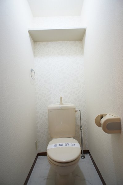 Toilet. toilet / There storeroom space at the top