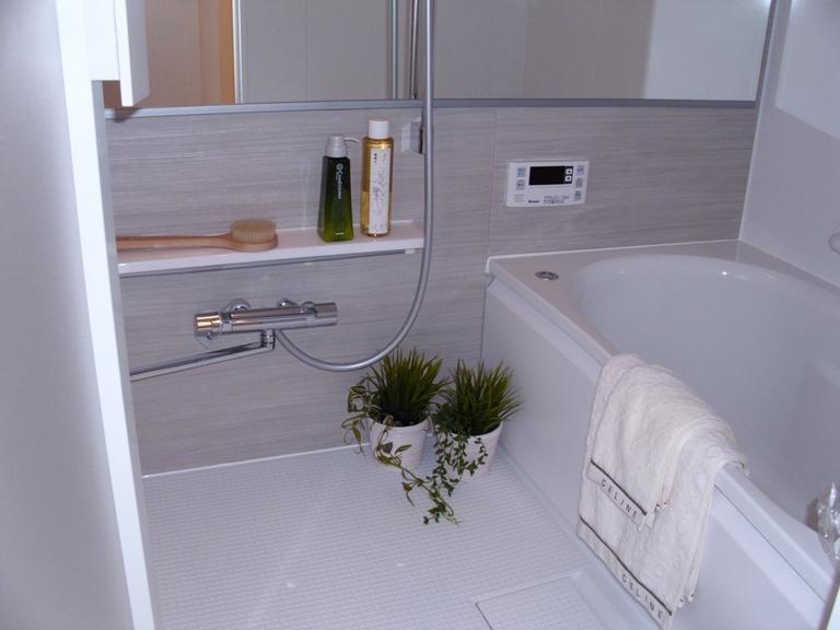 Bathroom. Indoor (11 May 2013) Shooting