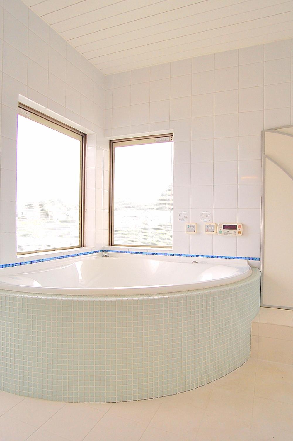 Bathroom. Very large second floor bathroom. Good view of the feelings from the window.