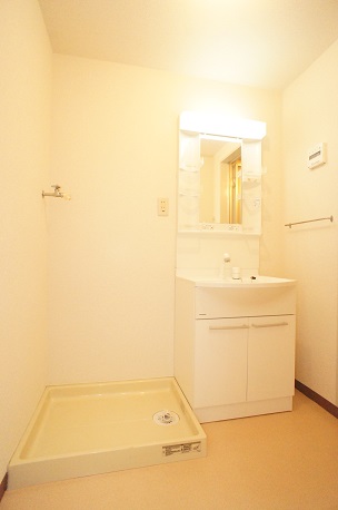 Washroom. Shampoo dresser new! An indoor laundry Area!
