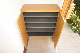 Entrance. Shoe box (bottom)