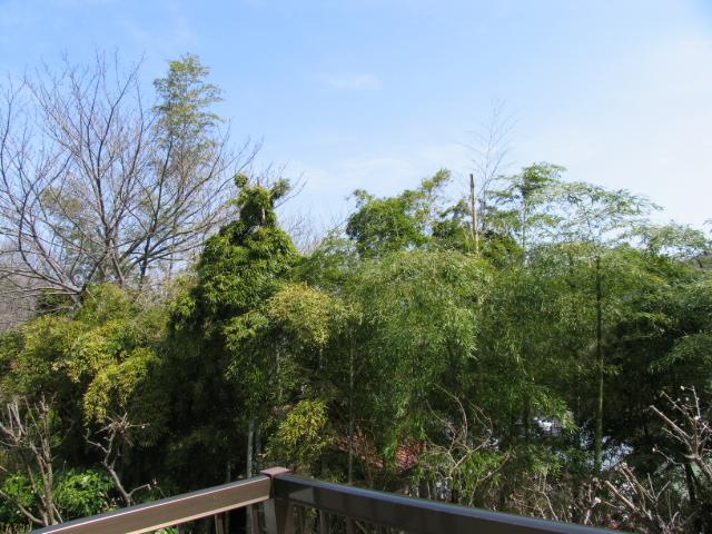 View photos from the dwelling unit