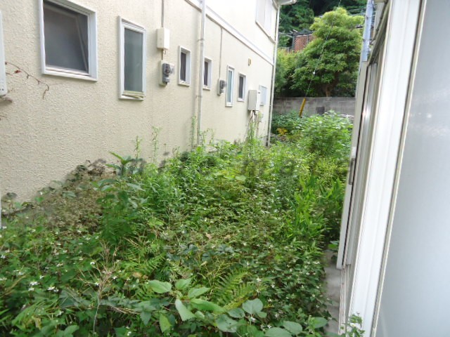 Garden. Green is a rich residential area