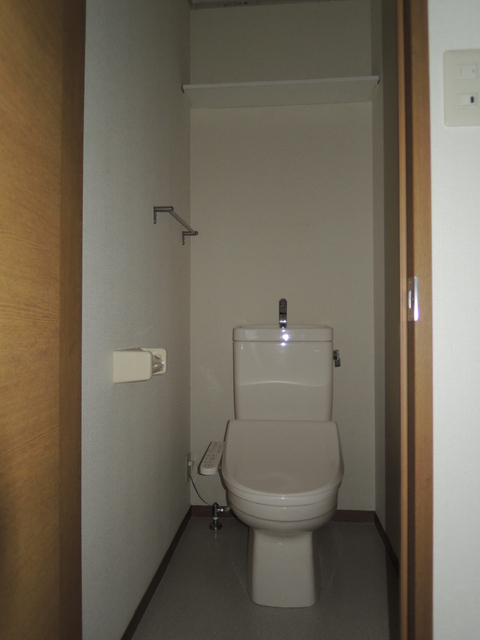 Washroom. Toilet with warm water washing toilet seat