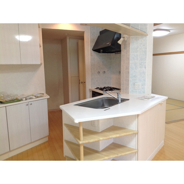 Kitchen. Kitchen