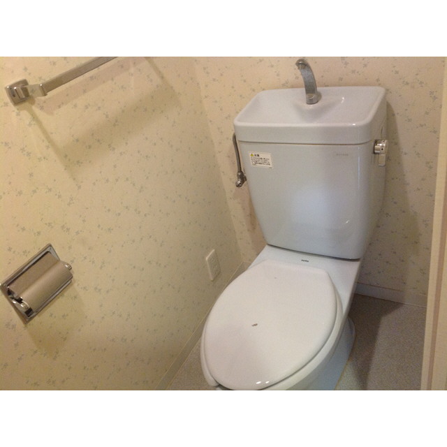 Toilet. Toilet
