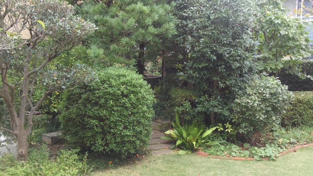 Garden. Local (10 May 2013) Shooting