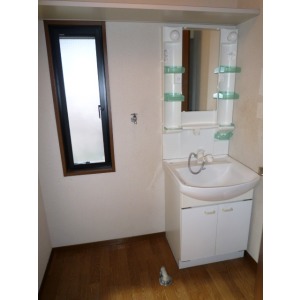 Washroom. Shampoo dresser With small window