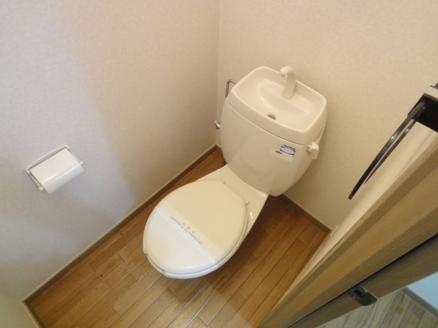 Toilet. Toilet