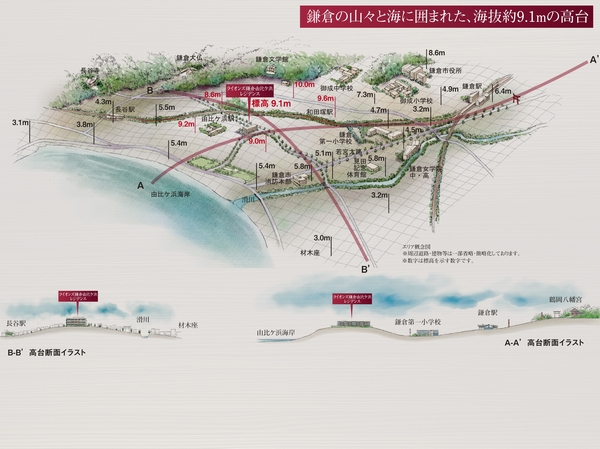 Local is the location (area conceptual diagram on a hill above sea level about 9.1m Among Yuigahama area ・ In fact a somewhat different with upland conceptual diagram)