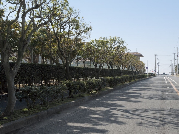 Road of the site east ・ Cityscape (about 10m). Straight this road, It answers the Yuigahama coast in a 4-minute walk