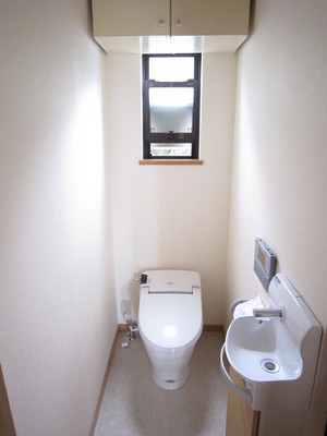 Toilet. Hand wash with a toilet