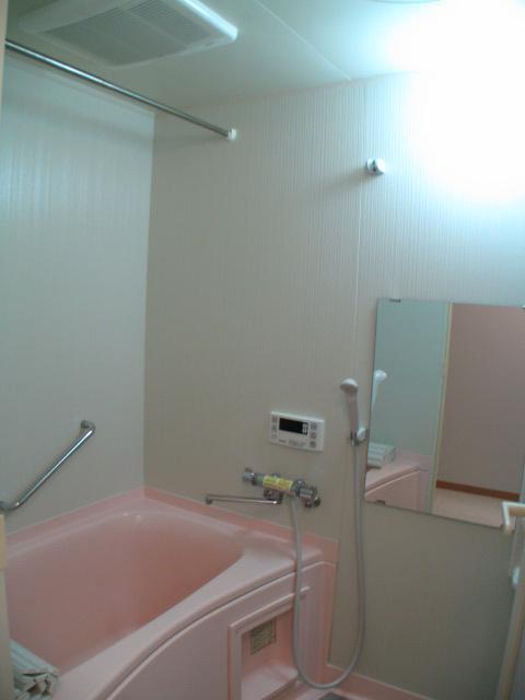 Bathroom. Indoor (11 May 2012) shooting