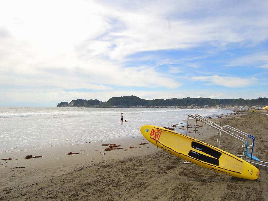 Other Environmental Photo. Zaimokuza to the coast 400m