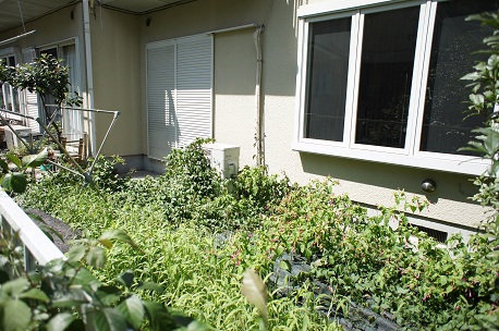 Garden. A private garden is located on the south side!