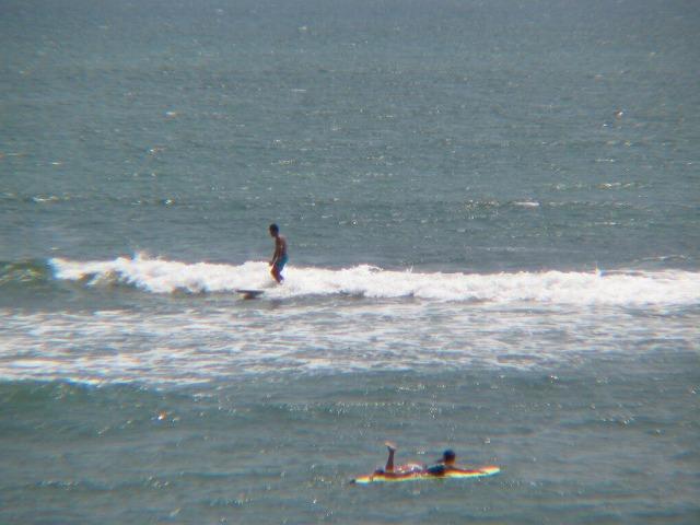 Other. Surfing spree! Please come to see us! !