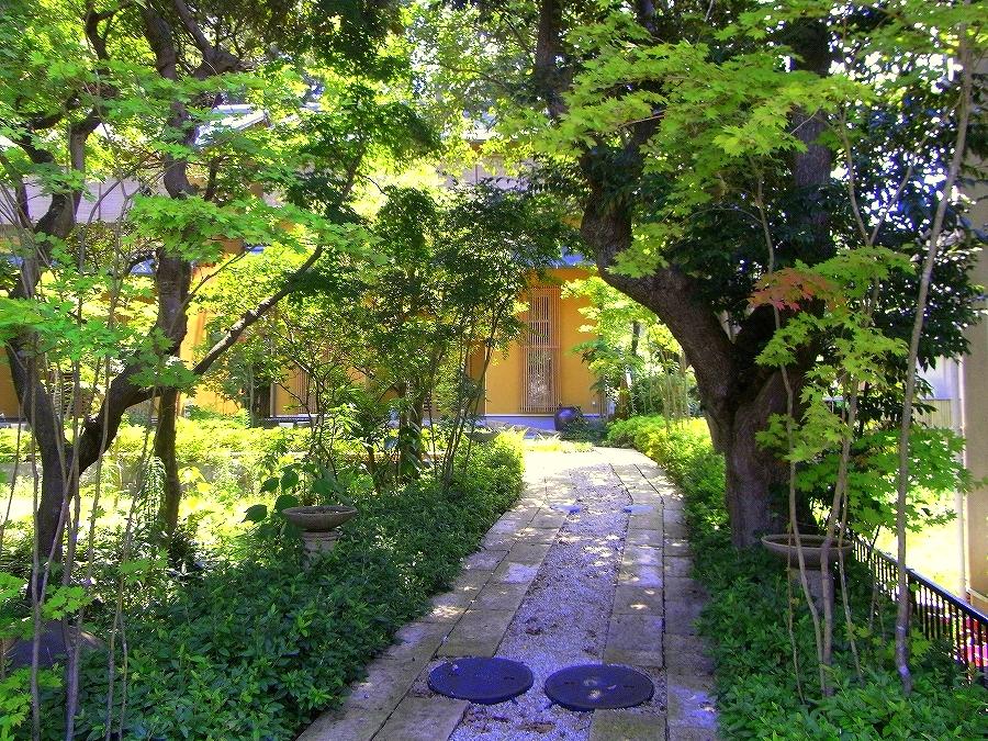 Local appearance photo. Like a tree of the tunnel.