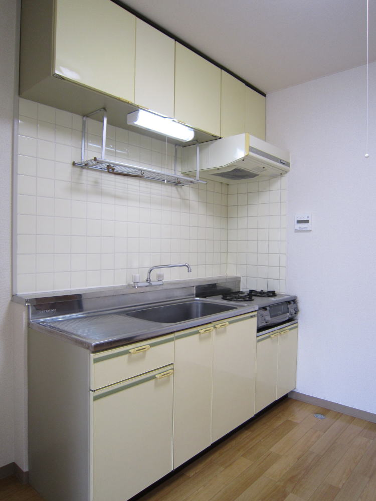 Kitchen. Gas stove is leaving goods