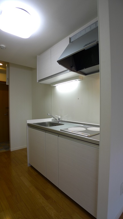 Kitchen. IH cooking heater equipped