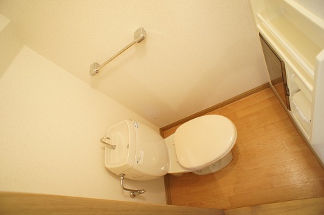 Toilet. There are storage!