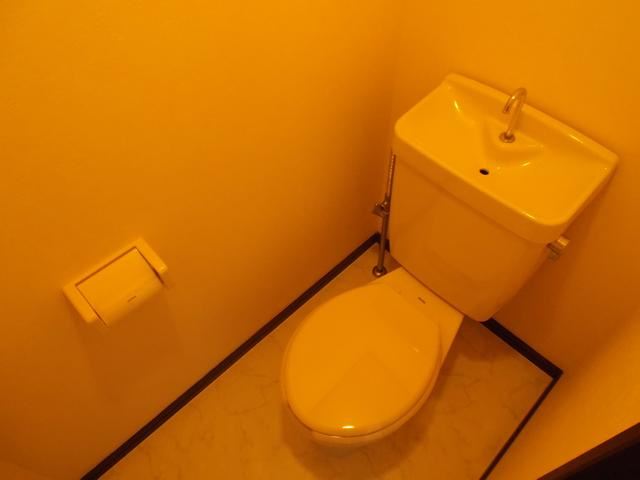 Toilet. Toilet