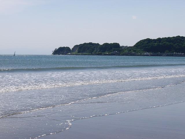Other Environmental Photo. Zaimokuza to about 400m