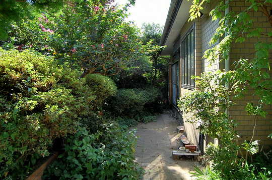 Local appearance photo. Garden surrounded by greenery