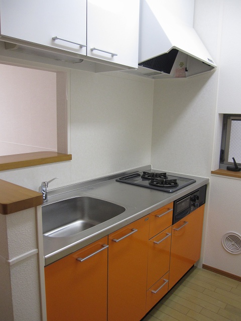 Kitchen. With a two-burner stove grill