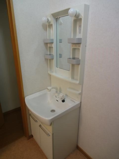Washroom. Wash basin