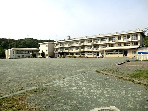 Primary school. Tamanawa elementary school