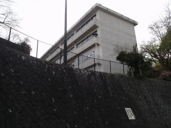 Junior high school. Iwase 2200m until junior high school
