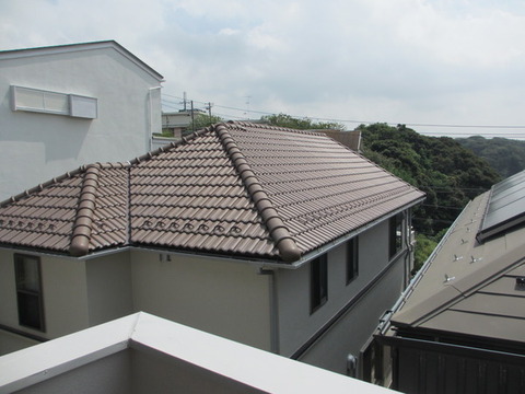 View. View from the veranda
